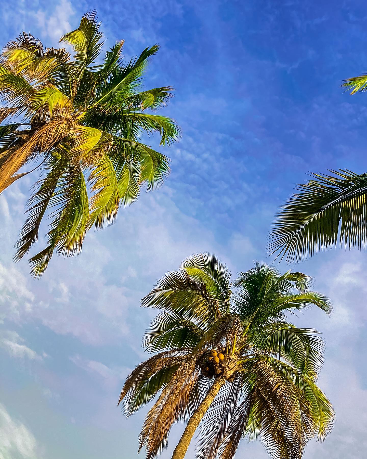 HOTEL DE PLAYA VILLAMOR CON PISCINA Y RESTAURANTE A 2 MINUTOS DEL MAR EN MANCORA