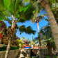 BUNGALOWS MIRADOR DE VICHAYITO CON PISCINA Y RESTAURANTE VISTA AL MAR