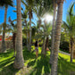 BUNGALOWS MIRADOR DE VICHAYITO CON PISCINA Y RESTAURANTE VISTA AL MAR