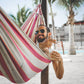 LOKI DEL MAR BEACH HOTEL WITH POOL AND DIRECT EXIT TO THE SEA MANCORA