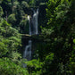 2 GIORNI 1 NOTTE NEL PARCO NAZIONALE DEL RÍO ABISEO