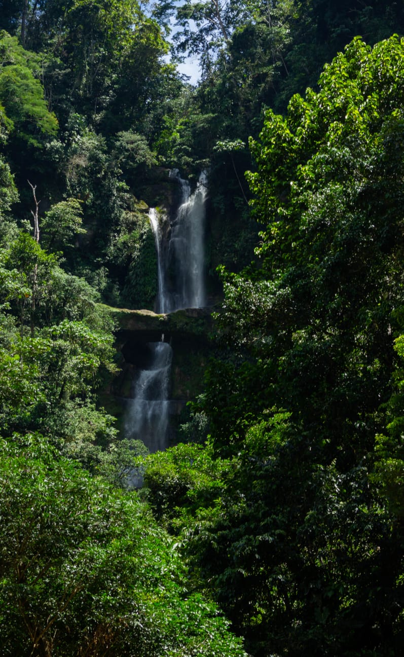 2 GIORNI 1 NOTTE NEL PARCO NAZIONALE DEL RÍO ABISEO