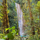 2 DÍAS 1 NOCHE EN PARQUE NACIONAL RÍO ABISEO