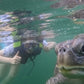 NADO CON TORTUGAS Y PASEO COSTERO EN DESLIZADOR DEPORTIVO EN ORGANOS