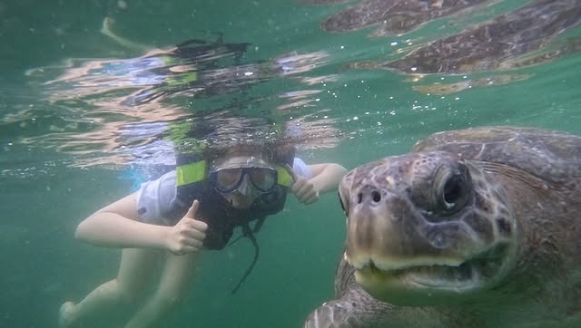 NADO CON TORTUGAS Y PASEO COSTERO EN DESLIZADOR DEPORTIVO EN ORGANOS