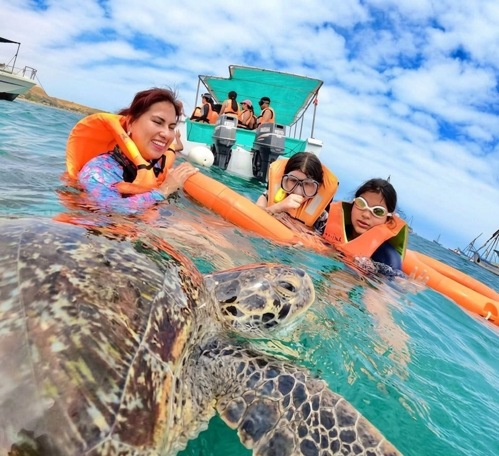 NADO CON TORTUGAS Y PASEO COSTERO EN DESLIZADOR DEPORTIVO EN ORGANOS