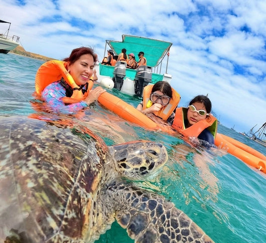 PASEO COSTERO Y NADO CON TORTUGAS EN DESLIZADOR DEPORTIVO EN ORGANOS