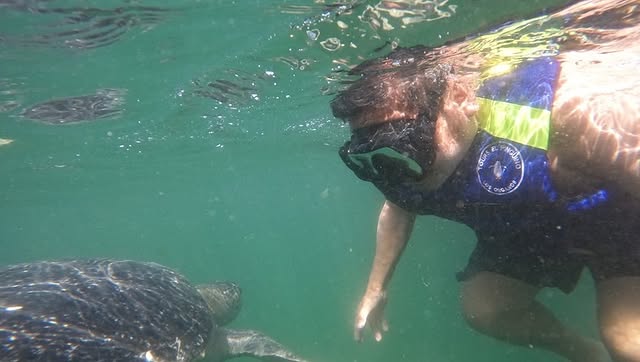 NADO CON TORTUGAS Y PASEO COSTERO EN DESLIZADOR DEPORTIVO EN ORGANOS