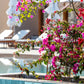 THE LEGEND PARACAS RESORT BAHÍA DE PARACAS