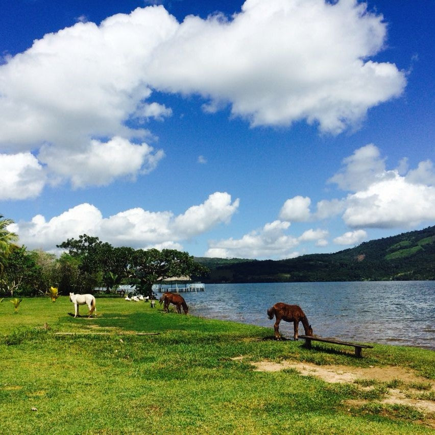 SALSA INTERA GIORNATA LAGUNA AZUL