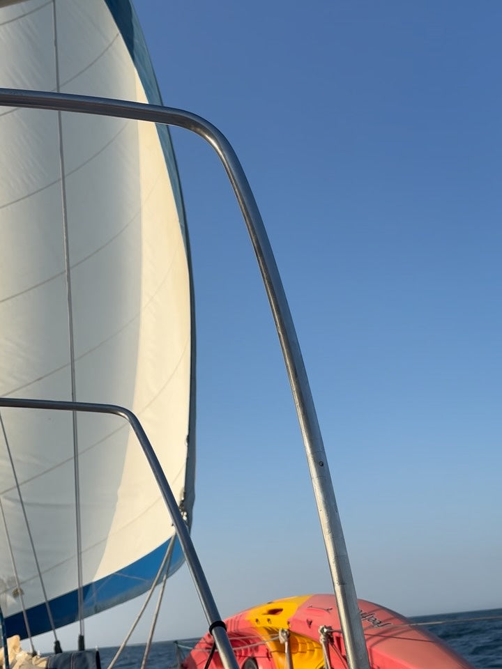 AVISTAMIENTO DE BALLENAS CON PASEO COSTERO AL ATARDECER  EN VELERO - LOS ÓRGANOS