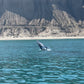 AVISTAMIENTO DE BALLENAS CON PASEO COSTERO AL ATARDECER  EN VELERO - LOS ÓRGANOS