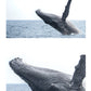 AVISTAMIENTO DE BALLENAS CON PASEO COSTERO AL ATARDECER  EN VELERO - LOS ÓRGANOS