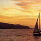 AVISTAMIENTO DE BALLENAS CON PASEO COSTERO AL ATARDECER  EN VELERO - LOS ÓRGANOS