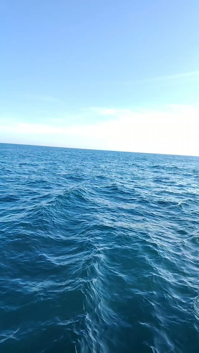 AVISTAMIENTO DE BALLENAS CON PASEO COSTERO AL ATARDECER  EN VELERO - LOS ÓRGANOS