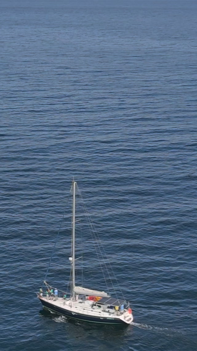AVISTAMIENTO DE BALLENAS CON PASEO COSTERO AL ATARDECER  EN VELERO - LOS ÓRGANOS