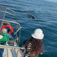 AVISTAMIENTO DE BALLENAS CON PASEO COSTERO AL ATARDECER  EN VELERO - LOS ÓRGANOS
