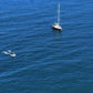 AVISTAMIENTO DE BALLENAS CON PASEO COSTERO AL ATARDECER  EN VELERO - LOS ÓRGANOS