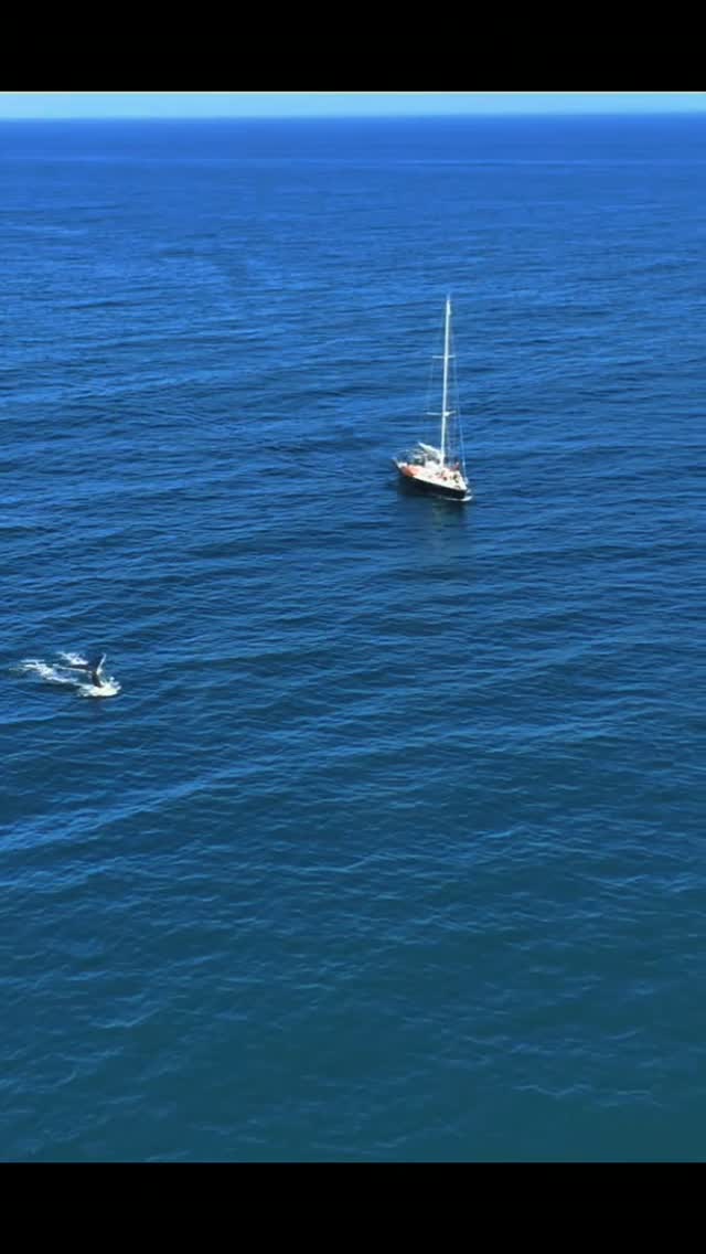 AVISTAMIENTO DE BALLENAS CON PASEO COSTERO AL ATARDECER  EN VELERO - LOS ÓRGANOS