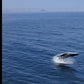 AVISTAMIENTO DE BALLENAS CON PASEO COSTERO AL ATARDECER  EN VELERO - LOS ÓRGANOS