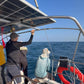 AVISTAMIENTO DE BALLENAS CON PASEO COSTERO AL ATARDECER  EN VELERO - LOS ÓRGANOS
