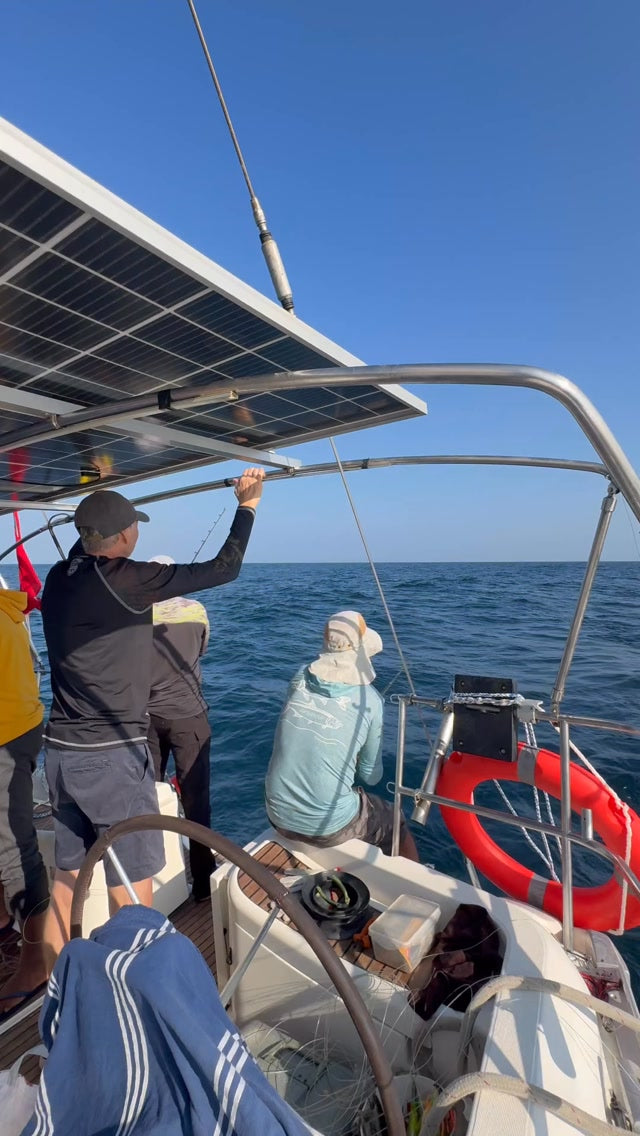 AVISTAMIENTO DE BALLENAS CON PASEO COSTERO AL ATARDECER  EN VELERO - LOS ÓRGANOS