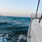 AVISTAMIENTO DE BALLENAS CON PASEO COSTERO AL ATARDECER  EN VELERO - LOS ÓRGANOS