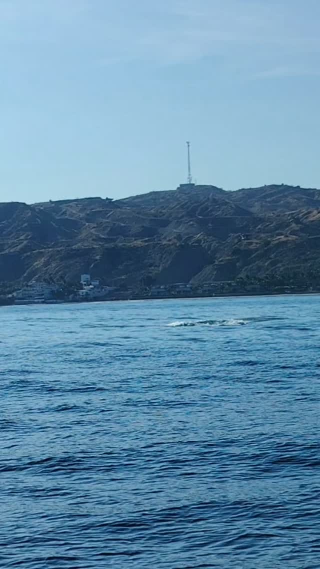 AVISTAMIENTO DE BALLENAS CON PASEO COSTERO AL ATARDECER  EN VELERO - LOS ÓRGANOS