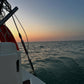 AVISTAMIENTO DE BALLENAS CON PASEO COSTERO AL ATARDECER  EN VELERO - LOS ÓRGANOS