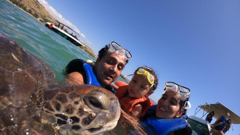 SWIM WITH TURTLES AND COASTAL RIDE ON CATAMARAN YACHT