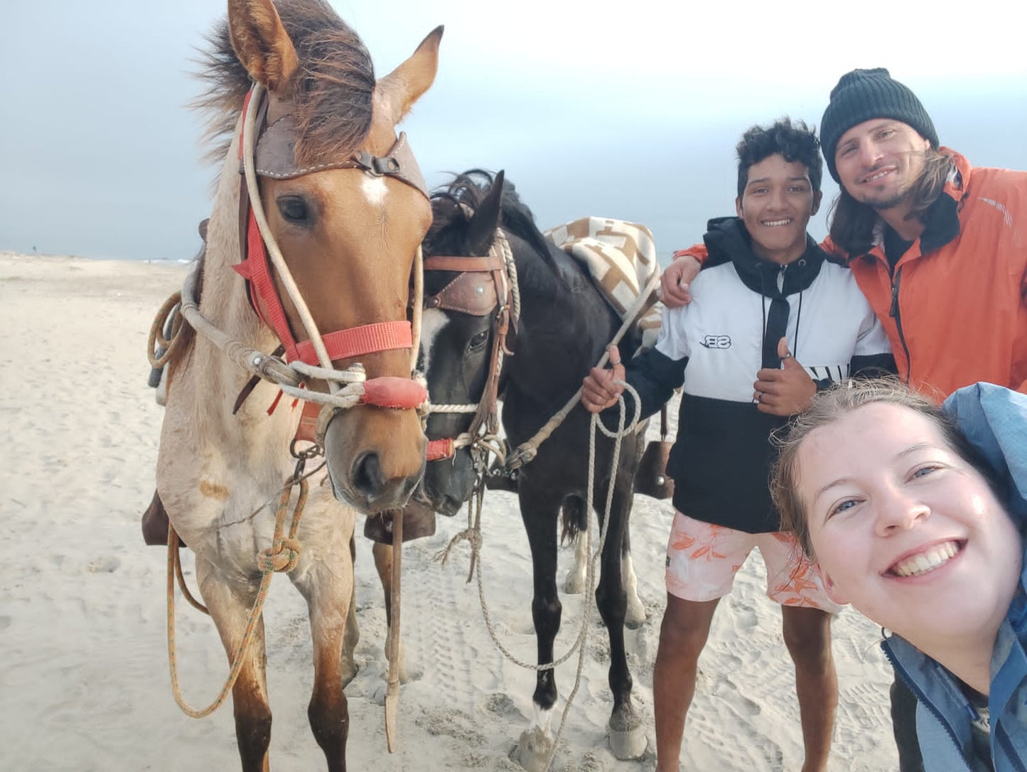 COASTAL HORSE RIDE