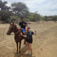 COASTAL HORSE RIDE