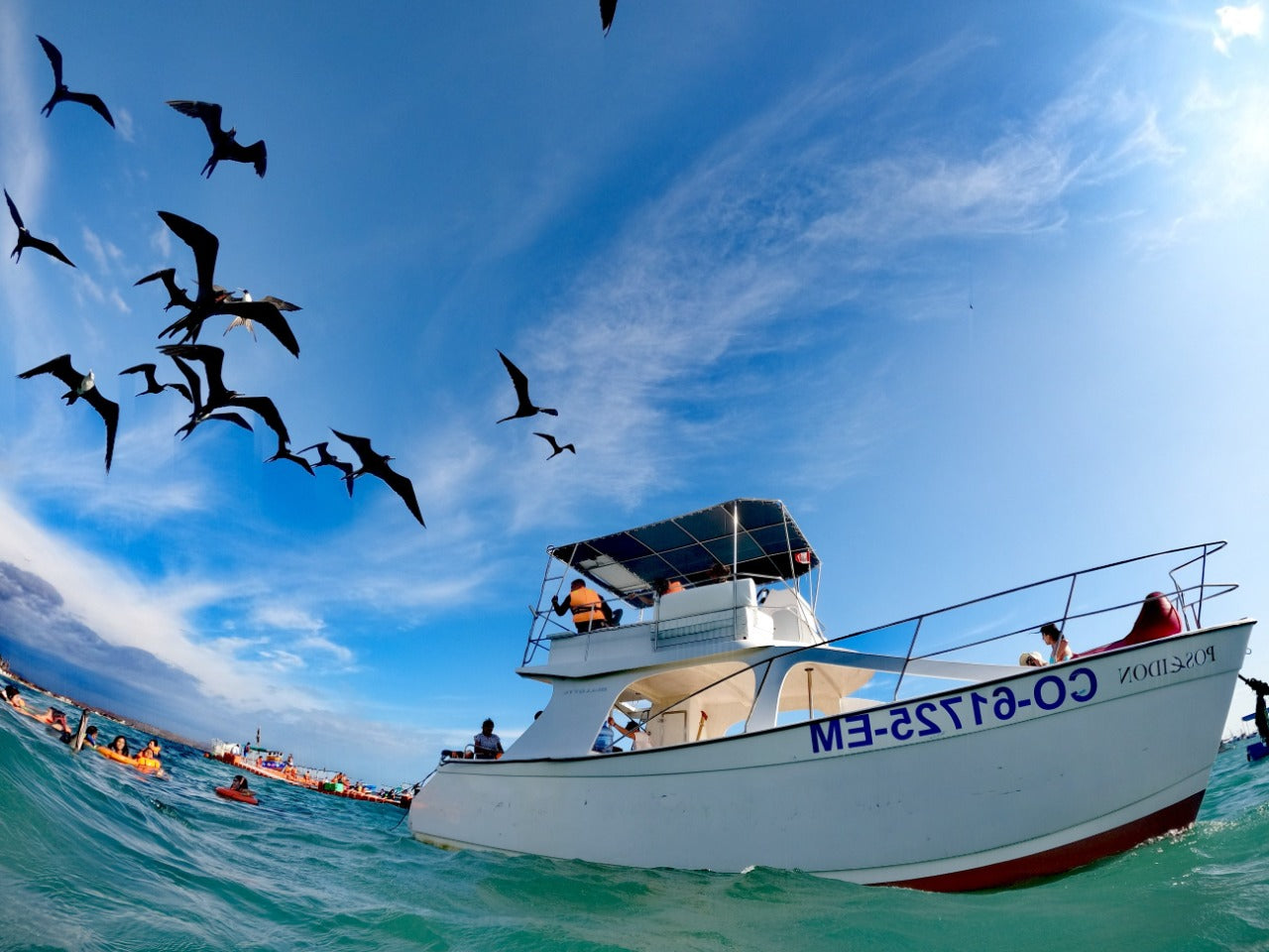 NADO CON TORTUGAS Y PASEO COSTERO EN YATE CATAMARÁN