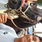 COASTAL HORSE RIDE