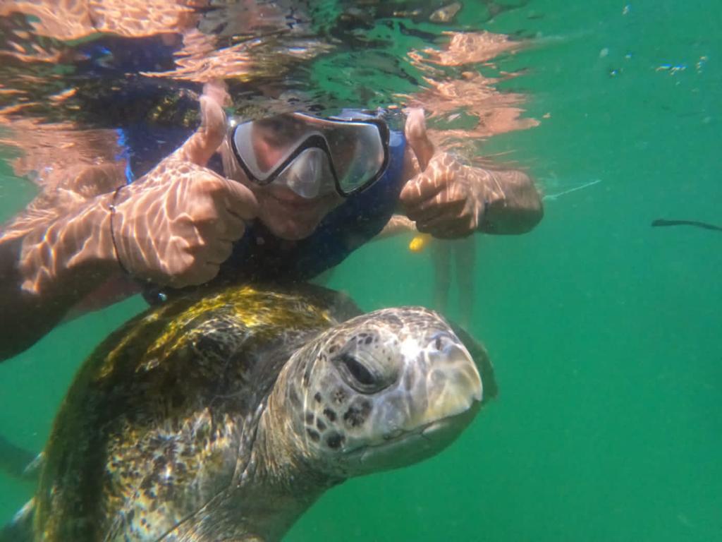 NADO CON TORTUGAS CON TRASLADO EN BANANA