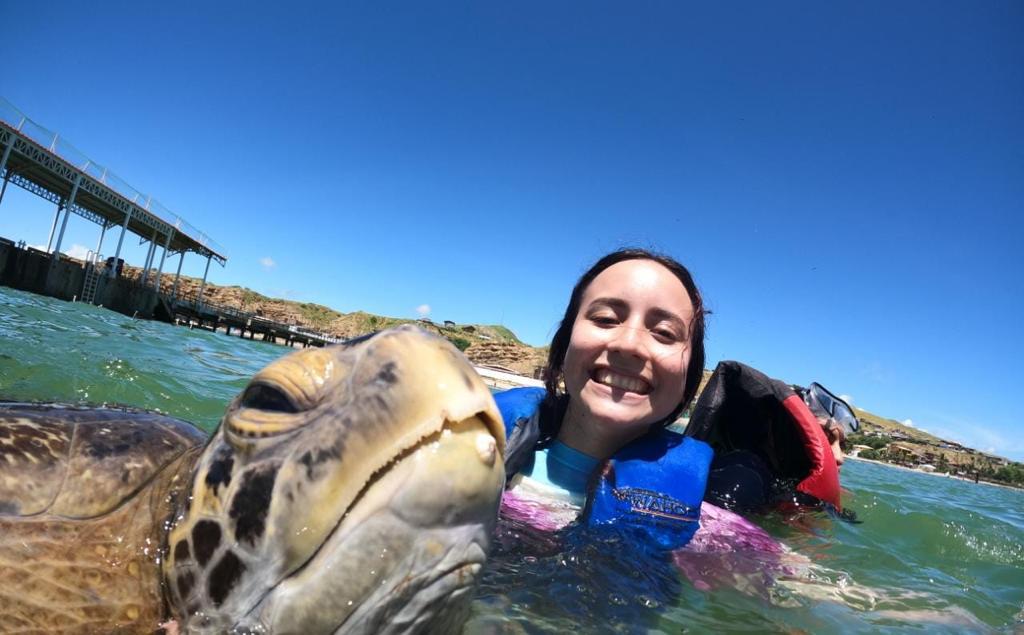 SWIM WITH TURTLES AND COASTAL RIDE ON CATAMARAN YACHT