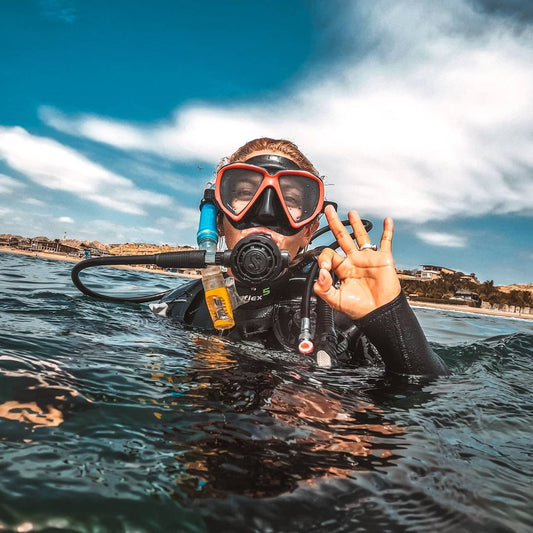 BUCEO PARA PRINCIPIANTES - MÁNCORA