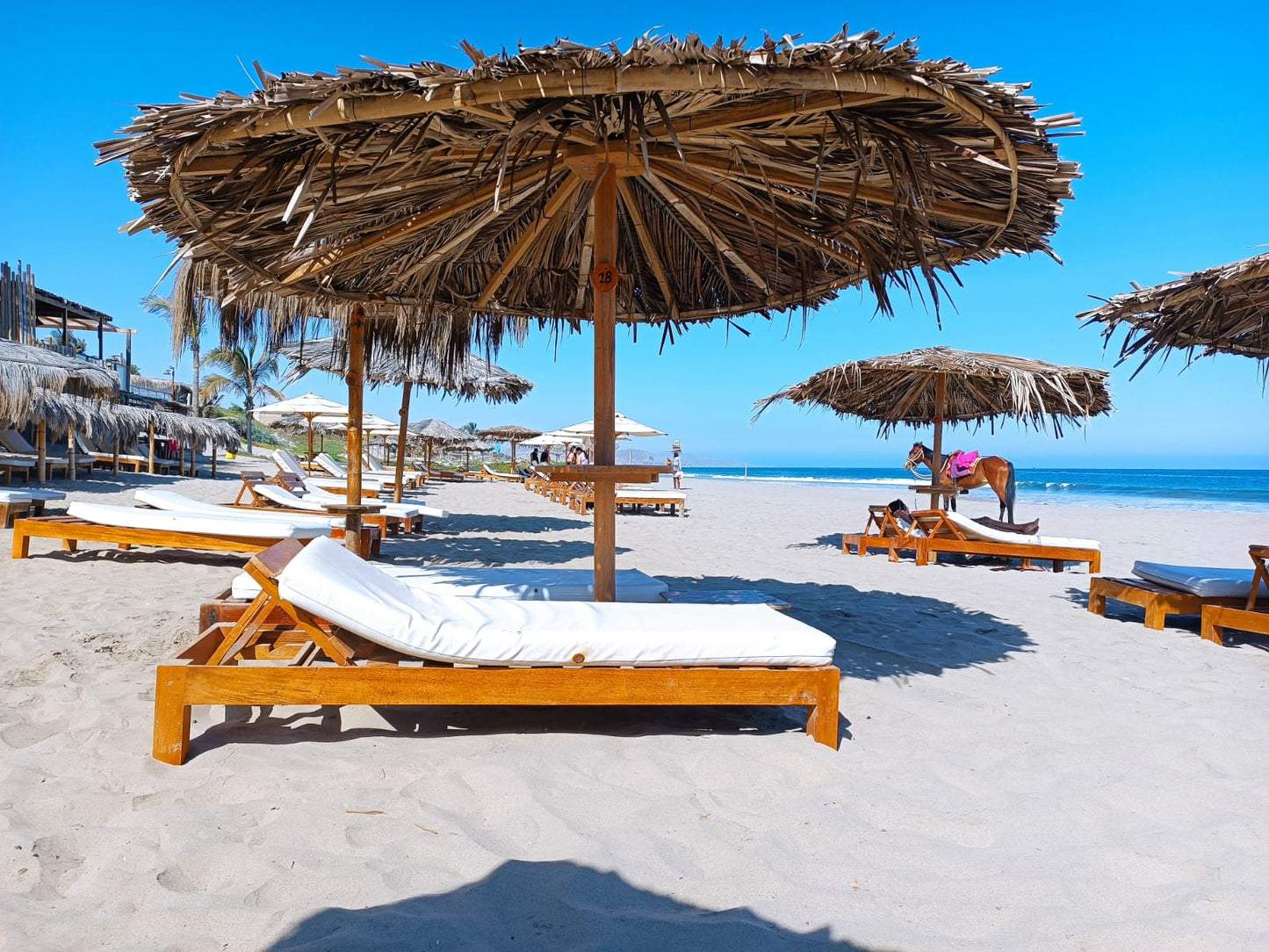 HOTEL DE PLAYA COSTA BLANCA CON PISCINA Y RESTAURANTE EN VICHAYITO