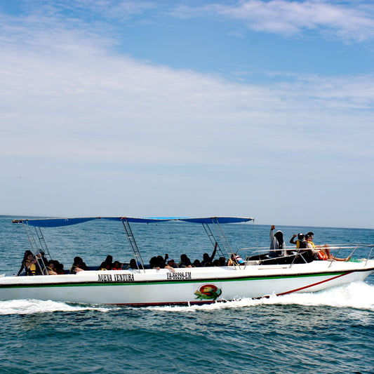 NADO CON TORTUGAS, PASEO COSTERO Y CEVICHE A BORDO EN DESLIZADOR MODERNO EN MANCORA