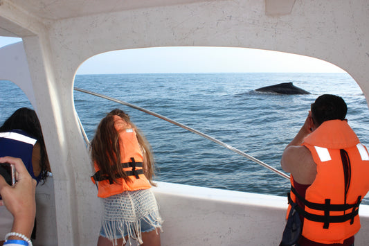 MÁNCORA - AVISTAJE DE BALLENAS, NADO CON TORTUGAS, PASEO COSTERO Y CEVICHE A BORDO EN YATE.