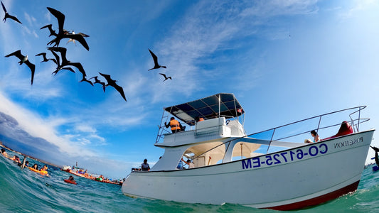 AVISTAJE DE BALLENAS, NADO CON TORTUGAS Y PASEO COSTERO CON CEVICHE ABORDO EN YATE CATAMARAN