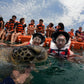SWIMMING WITH TURTLES WITH TRANSFER ON A BANANA
