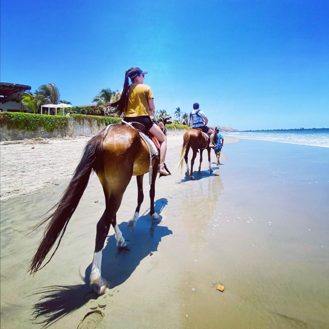 COASTAL HORSE RIDE