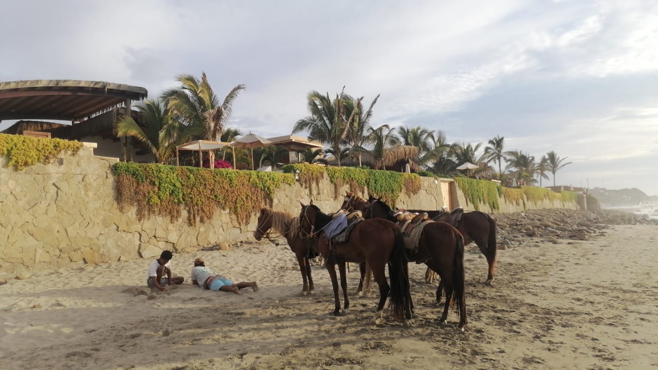COASTAL HORSE RIDE