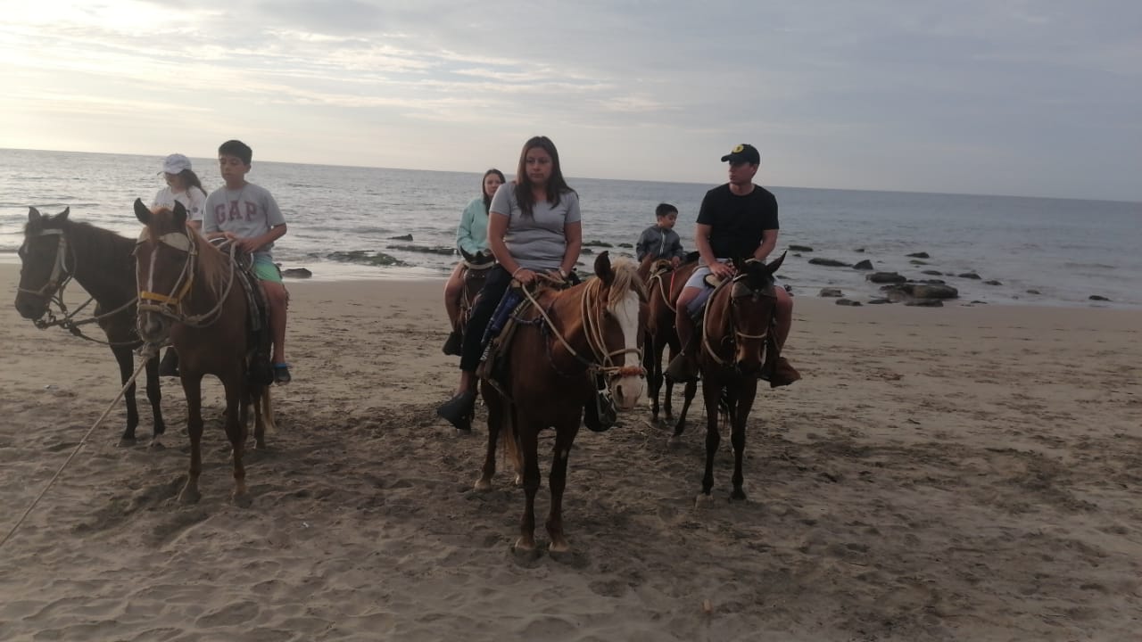 COASTAL HORSE RIDE