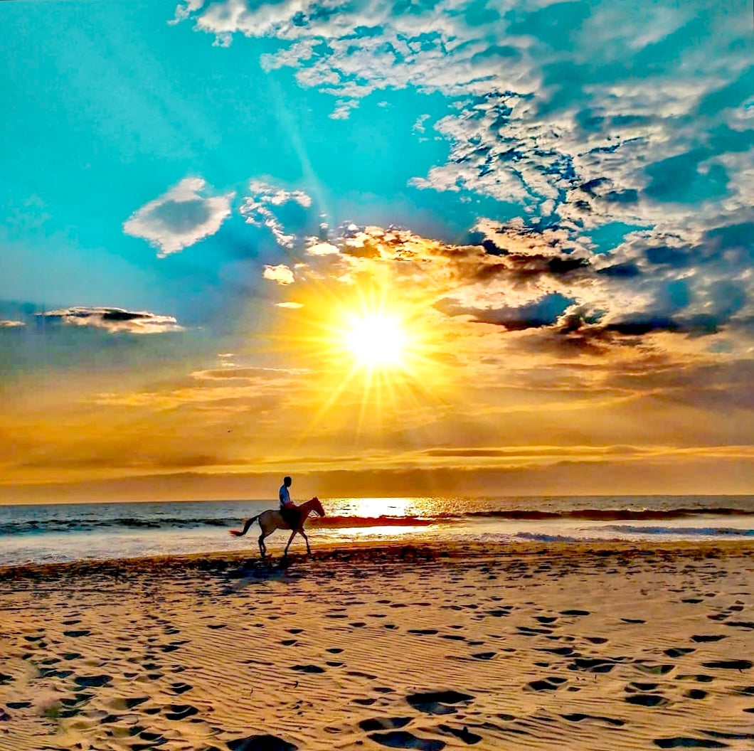 COASTAL HORSE RIDE