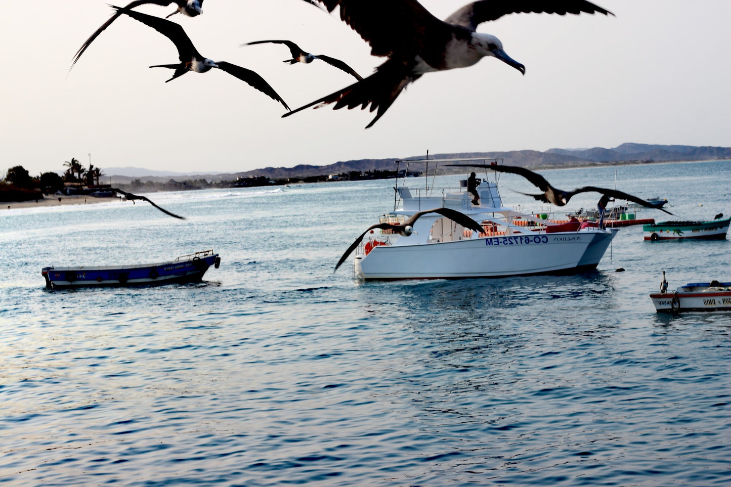 YATE CATAMARÁN PRIVADO